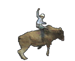 bull-riding-animation-1.gif